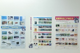 上野皮膚科御徒町台東区アレルギー科壁面お知らせ2 上野皮膚科御徒町台東区アレルギー科壁面お知らせ2